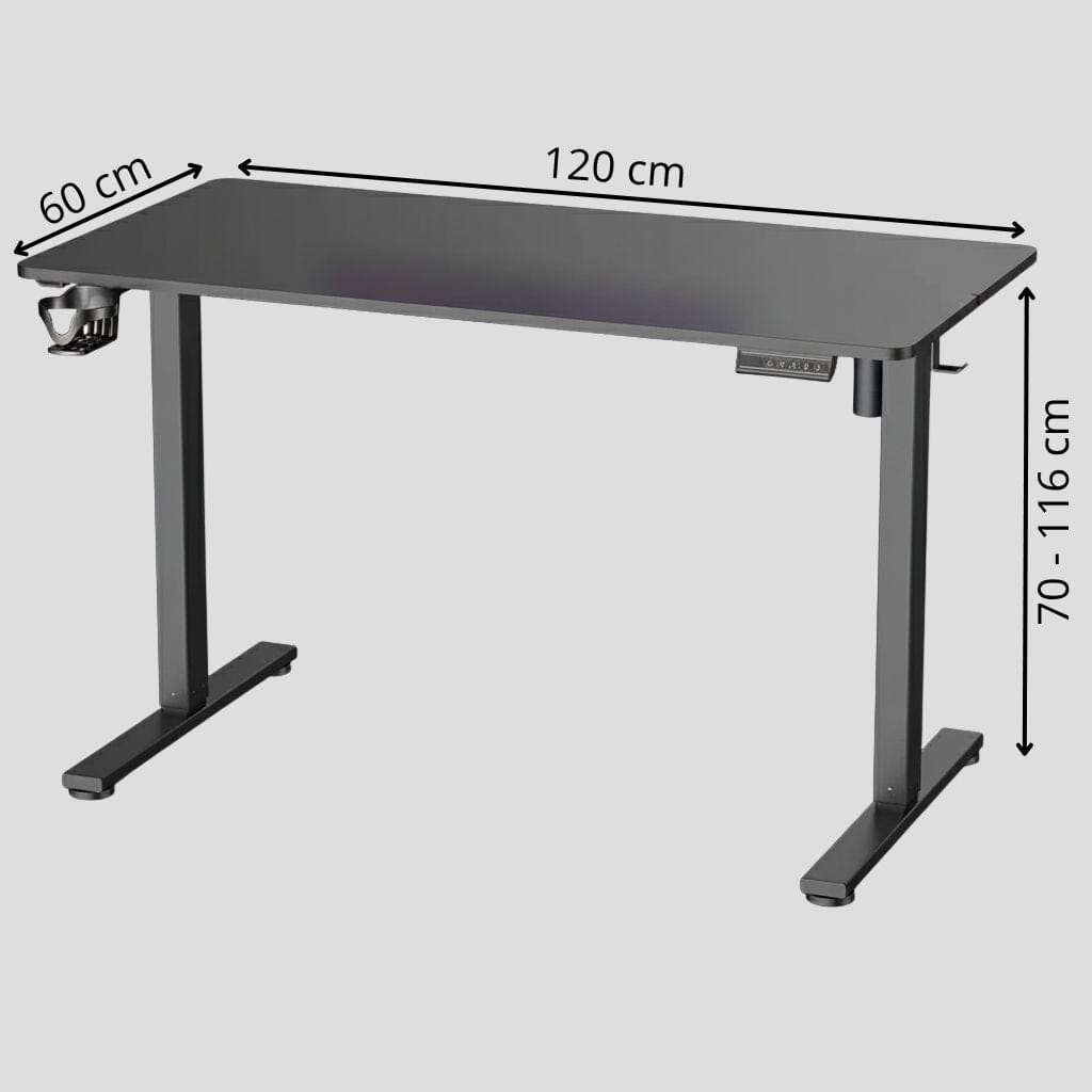 Bureau Assis Debout Électrique 120×60 cm - Réglage de Hauteur Intelligent avec Mémoire de Positions
