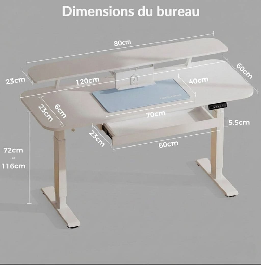 Bureau Assis-Debout Électrique avec Support Moniteur et Rangements Intégrés