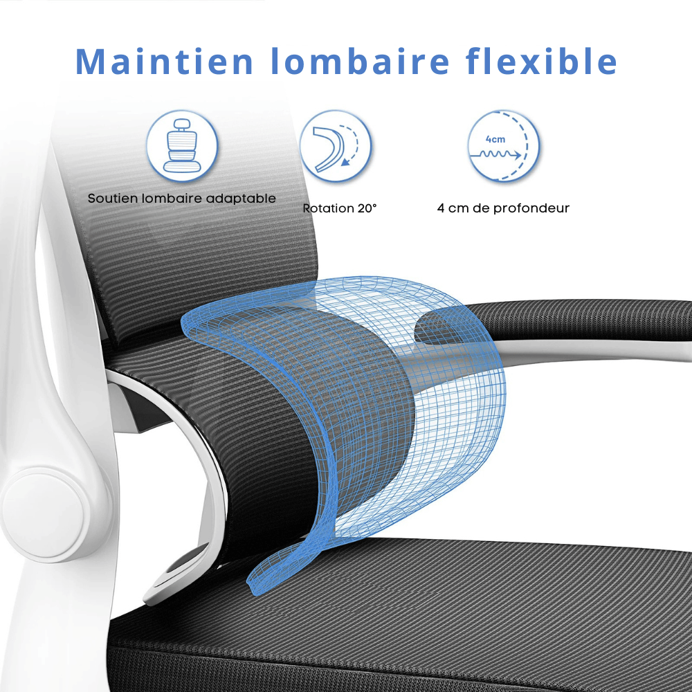 Chaise Ergonomique de Bureau avec Accoudoirs Rabattables et Dossier Respirant Réglable en Hauteur