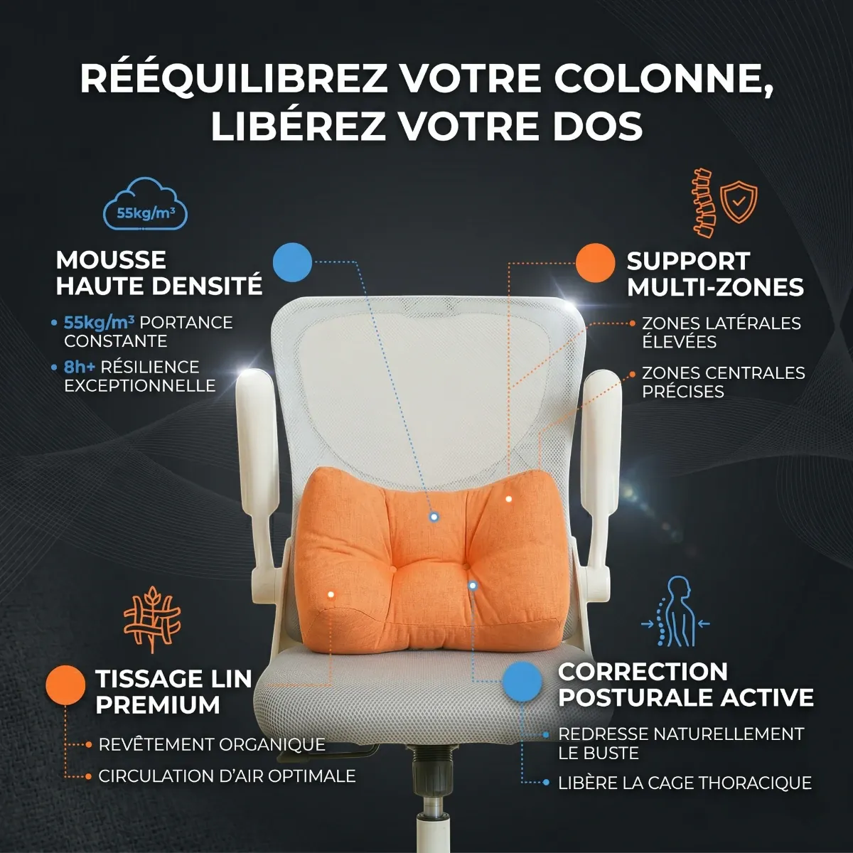 Infographie présentant les zones d'action du Coussin Lombaire Ergonomique Cocon Morpho sur le soutien du rachis et la posture.