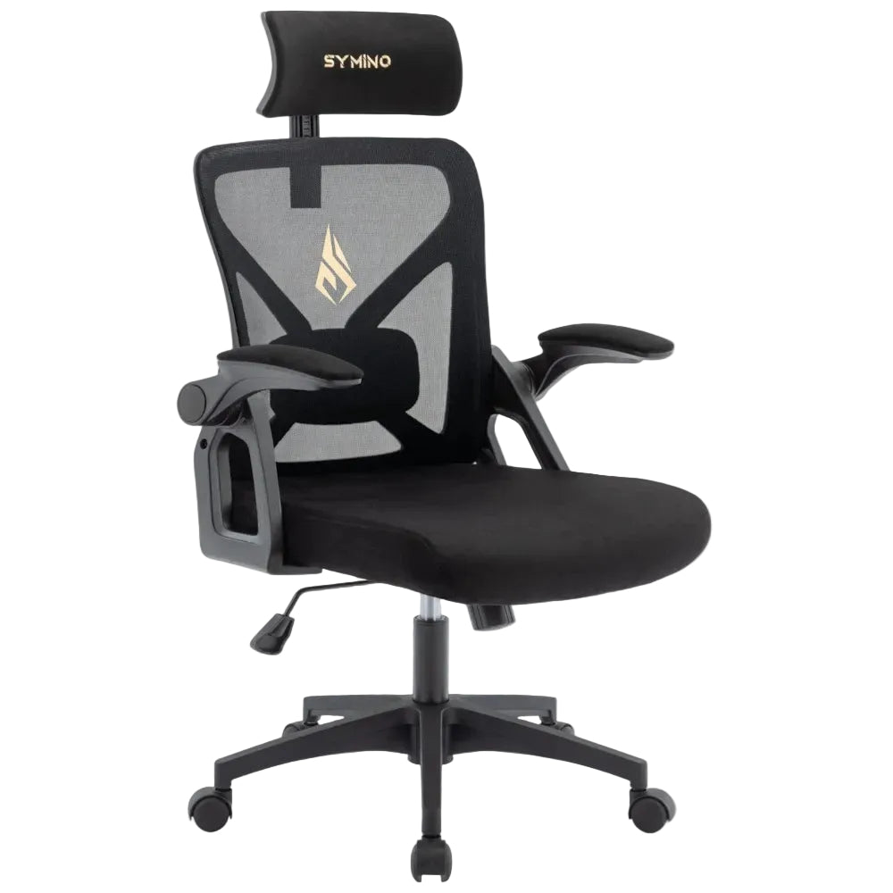 Noir Chaise Ergonomique de Bureau avec Appui-Tête Réglable et Support Lombaire - Dossier Mesh Respirant